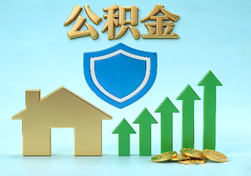 辽宁当前住房公积金提取条件分类指南与政策趋势